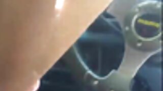 გრძელთმიანი ამერიკელ ...