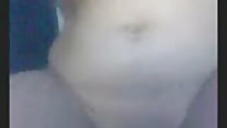 დიდი ქვედაბოლო შავი  ...